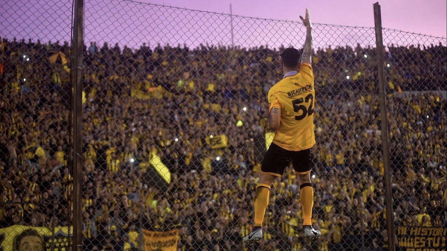 Immagine articolo